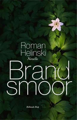 Brandsmoor - Roman Helinski - ebook