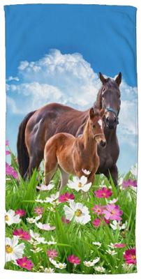 Muller Textiles 30746.99.80 75 x 150 cm