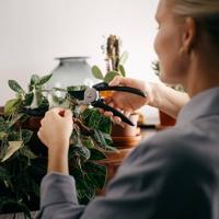 Fiskars 1057160 Solid™ P121 Tuinschaar 192 mm - thumbnail