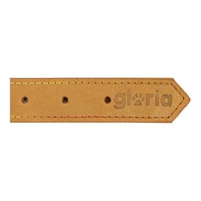 Hondenhalsband Gloria Oasis Geel (1,5 x 40 cm)