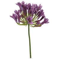 Agapanthus Kunstbloem Paars 75cm - thumbnail