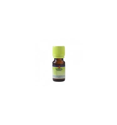 Volatile Benzoe (Styrax Benjoin) 5ml