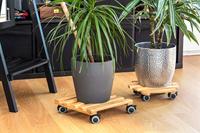 Metafranc WU0825340 Plantentrolley Bamboe Laadvermogen (max.): 60 kg 300 mm x 300 mm x 74 mm Aantal rollers 4 - thumbnail