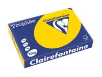 Clairefontaine Trophée Pastel, gekleurd papier, A4, 120 g, 250 vel, goudgeel - thumbnail