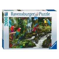 Ravensburger bonte papegaaien in de jungle legpuzzel, 2000st. - thumbnail
