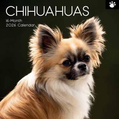 Chihuahua Kalender 2026