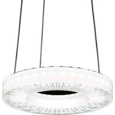 RIDI SPI0000060 SPI0000060 LED-hanglamp LED