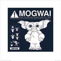 Kunstdruk Gremlins - Mogwai Rules 40x40cm - thumbnail