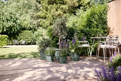 Elho amiga 47 thyme green Elho amiga 47 thyme green