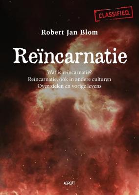 Reïncarnatie - Robert Jan Blom - ebook