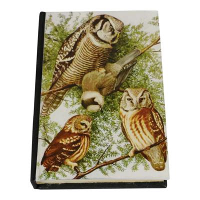 Notitieboek Vintage 3 Uilen Medium Notitieboek Vintage 3 Uilen Medium