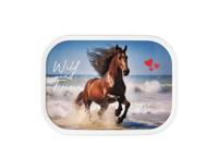 Mepal campus lunchbox wild horse - thumbnail