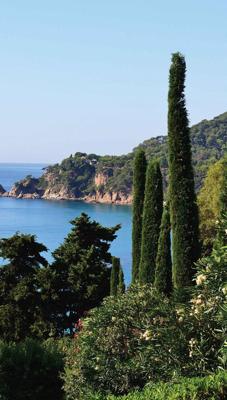 Cypressen bij zee 70x130cm Tuinschilderij Customize-it - Customize it Cypressen bij zee 70x130cm Tuinschilderij Customize-it - Customize it