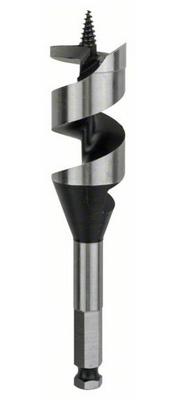 Bosch Accessoires Houtslangenboor, zeskant 32 x 100 x 160 mm, d 11,1 mm 1st - 2608585712 Bosch Accessoires Houtslangenboor, zeskant 32 x 100 x 160 mm, d 11,1 mm 1st - 2608585712