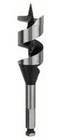Bosch Accessoires Houtslangenboor, zeskant 32 x 100 x 160 mm, d 11,1 mm 1st - 2608585712 - thumbnail