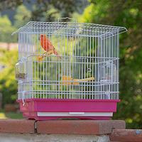 Bird Cage Ferplast Giusy Rood Wit - thumbnail