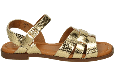 Red Rag 79664 - alle