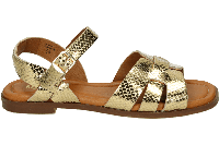 Red Rag 79664 - alle - thumbnail