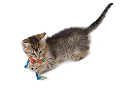 Petstages catnip dental health chew
