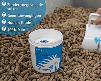 L-Lysine+ paard 1000 gram