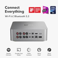 WiiM Ultra DAC streamer - Hi-Res Muziekstreamer - Zilver - thumbnail