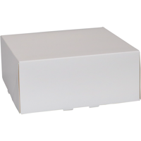 Gebaksdoos | karton | 21x21x9cm | wit | 150 stuks - thumbnail