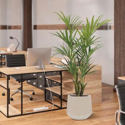 Kentia deluxe kunstpalm 165cm