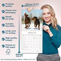 Dobermann Kalender 2026 - thumbnail