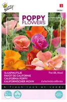 Papaver thai silk - thumbnail