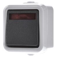 PEHA by Honeywell 301611 Tuimelknop Compleet Grijs 1 stuk(s)