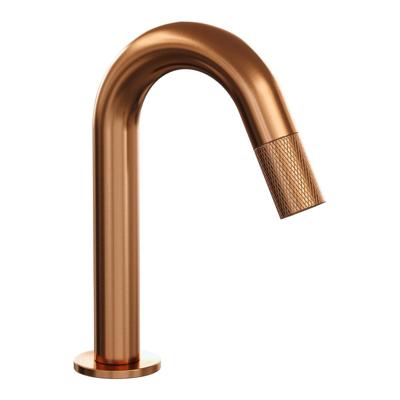 Opbouw Fonteinkraan Brauer Copper Carving Edition Met Gebogen Uitloop Koper Geborsteld PVD Opbouw Fonteinkraan Brauer Copper Carving Edition Met Gebogen Uitloop Koper Geborsteld PVD