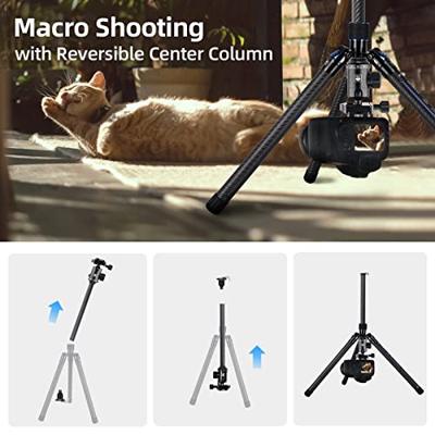 Sirui AT-125 + E-10 Lichtgewicht Traveler statief