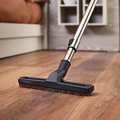 Stofzuiger POLTI PBEU0105 Zwart Rood Zwart Rood Negro, rojo 800 W