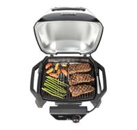 Weber Pulse 2000 - thumbnail