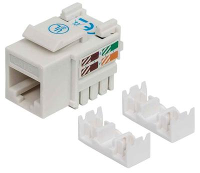 Intellinet 210591 RJ45-inbouwmodule Keystone CAT 6 1 stuk(s)