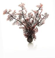 BiOrb koraal medium donkerrood aquarium decoratie - thumbnail