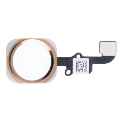 Home-knop Flex-kabel voor iPhone 6 & 6 plus geen ondersteuning voor vingerafdruk identificatie (goud)