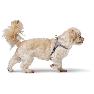 Hondentuigje Hunter SOHO MINI Roze XS