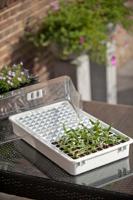 Nature Mini-kweekkasset met capillaire mat - thumbnail