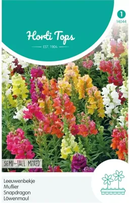 Zaden Antirrhinum Leeuwenbekje half-hoge gemengd Hortitops - Hortitops