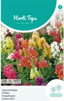 Zaden Antirrhinum Leeuwenbekje half-hoge gemengd Hortitops - Hortitops - thumbnail