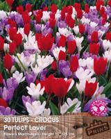 Prins Tulpen en krokussen prefect love 30 bollen - thumbnail