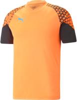 Heren Voetbal T-shirt met Korte Mouwen Puma Individual Cup Training Ultra Oranje Maat L - thumbnail