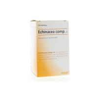 Heel Echinacea compositum H 250 Tabletten - thumbnail