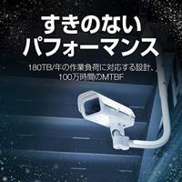 Seagate SkyHawk interne harde schijf 1 TB 256 MB 3.5" SATA III (ST1000VX013) - thumbnail