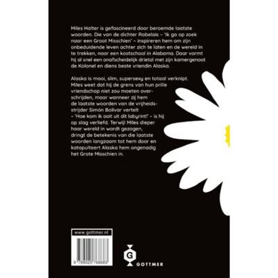 Het grote misschien (Paperback)