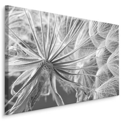 Schilderij - Close up van een Paardenbloem , Wanddecoratie , Premium print