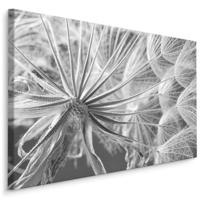 Schilderij - Close up van een Paardenbloem , Wanddecoratie , Premium print - thumbnail