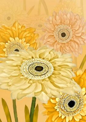 Gedachtenboek - Dawn Avalon - Paperback (9789464187830)