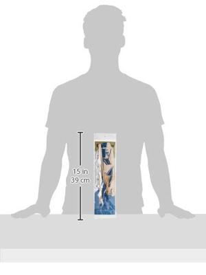 Goki houten zweefvliegtuig